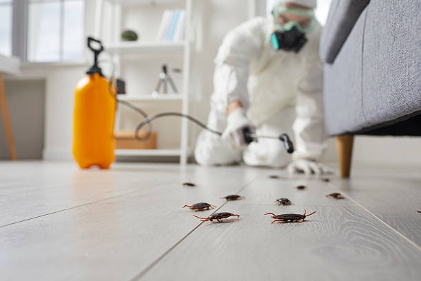 Trusted Fumigation Services service in Hermantown, MN - Nex Pest Control